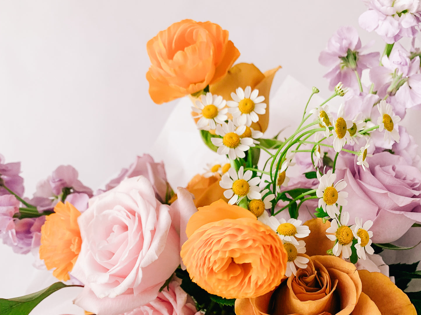 Aug 21/22 - The Florio White Pot Arrangement