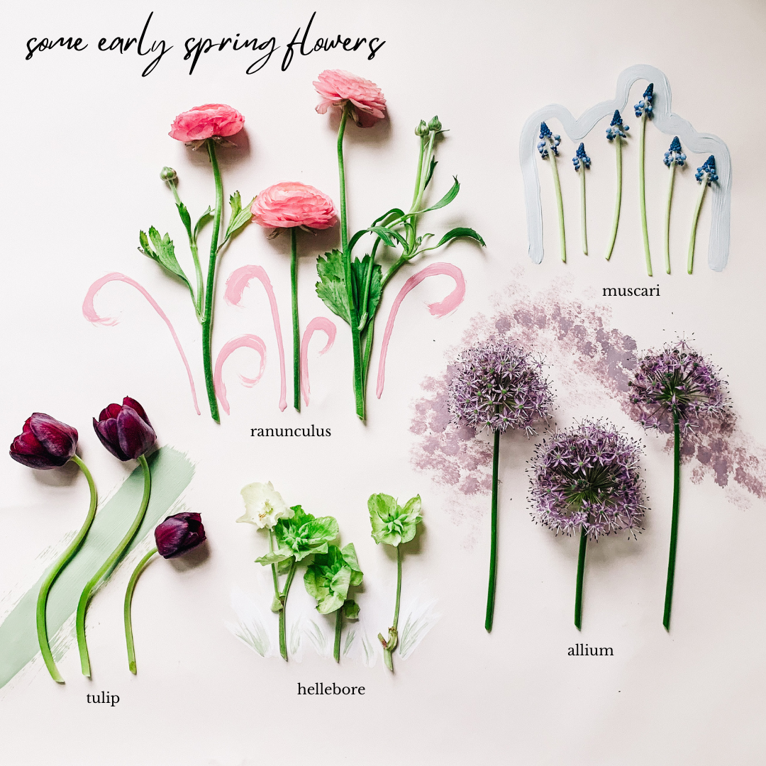 5 Early Spring Flowers for Floral Arrangements – Lorraine's Cottage