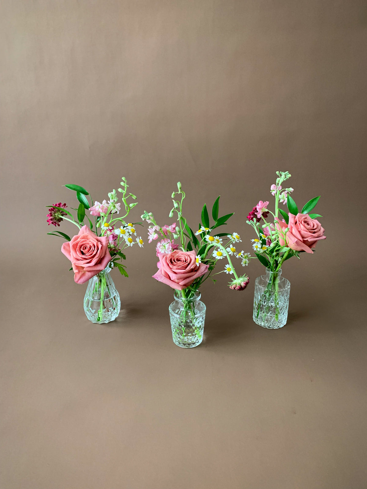 September 17/18 - The Budvase Collection