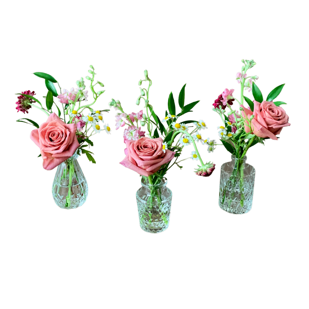 September 17/18 - The Budvase Collection