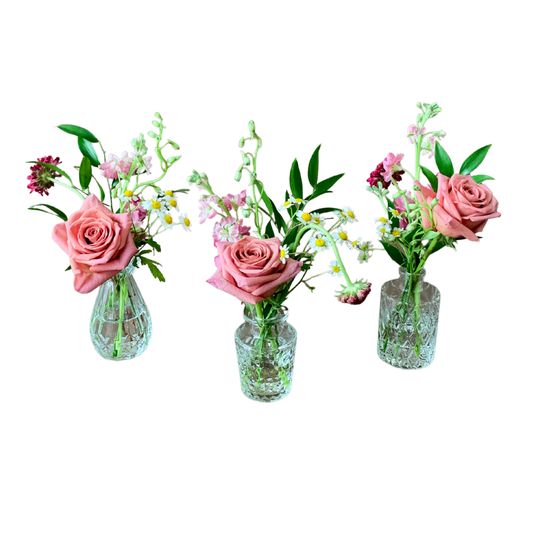 October 8/9 - The Budvase Collection